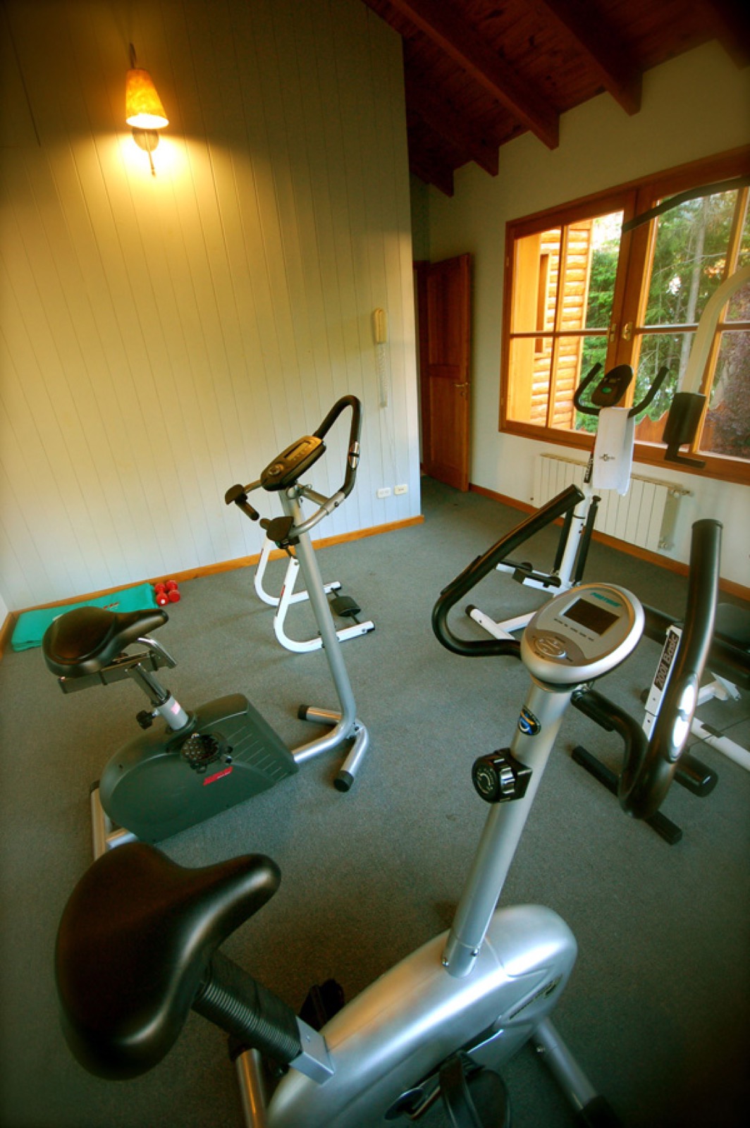 Gimnasio totalmente equipado, otra vista